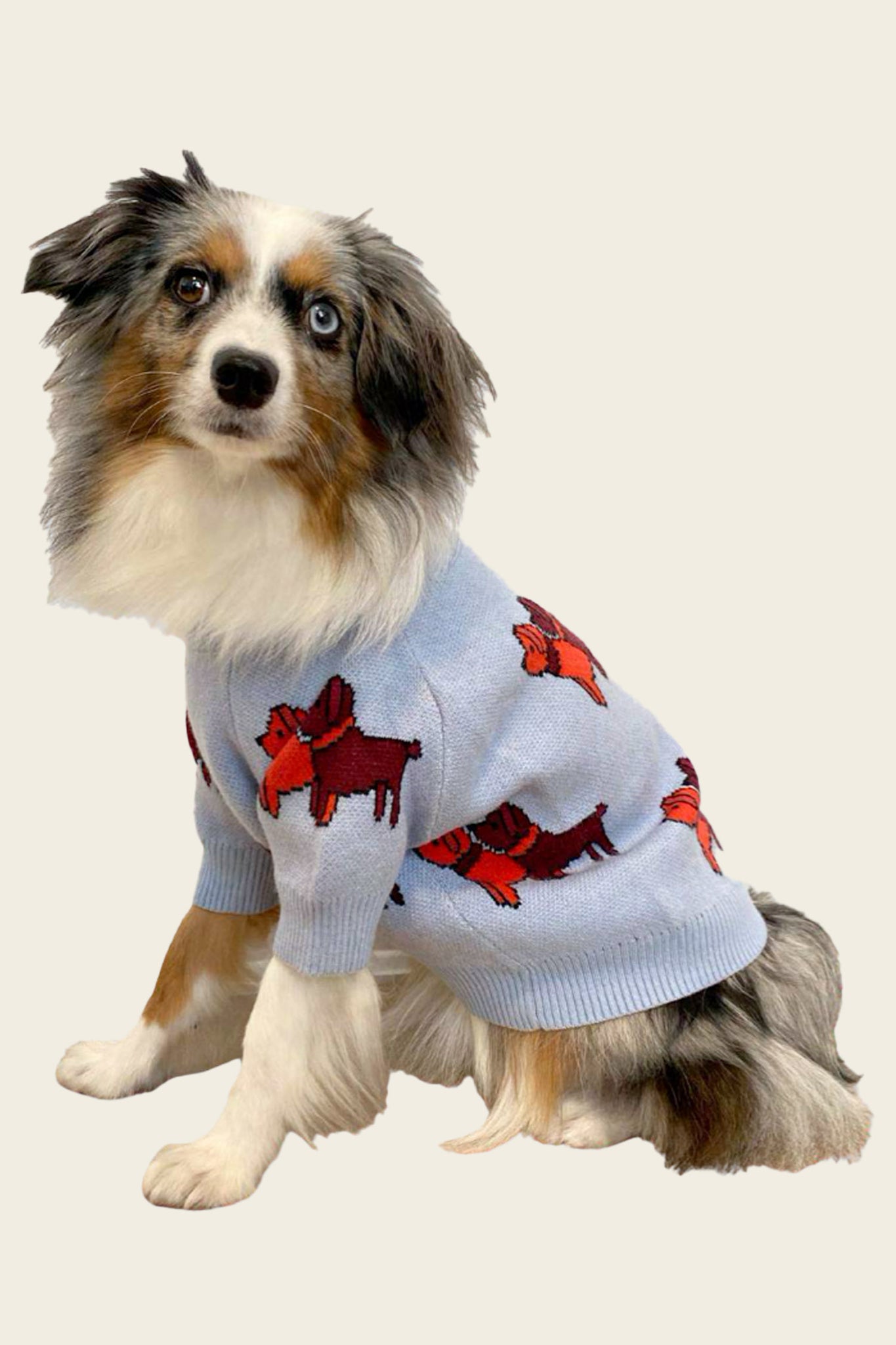 Toto Pup Sweater